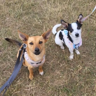 Twix and Dorris Reunion