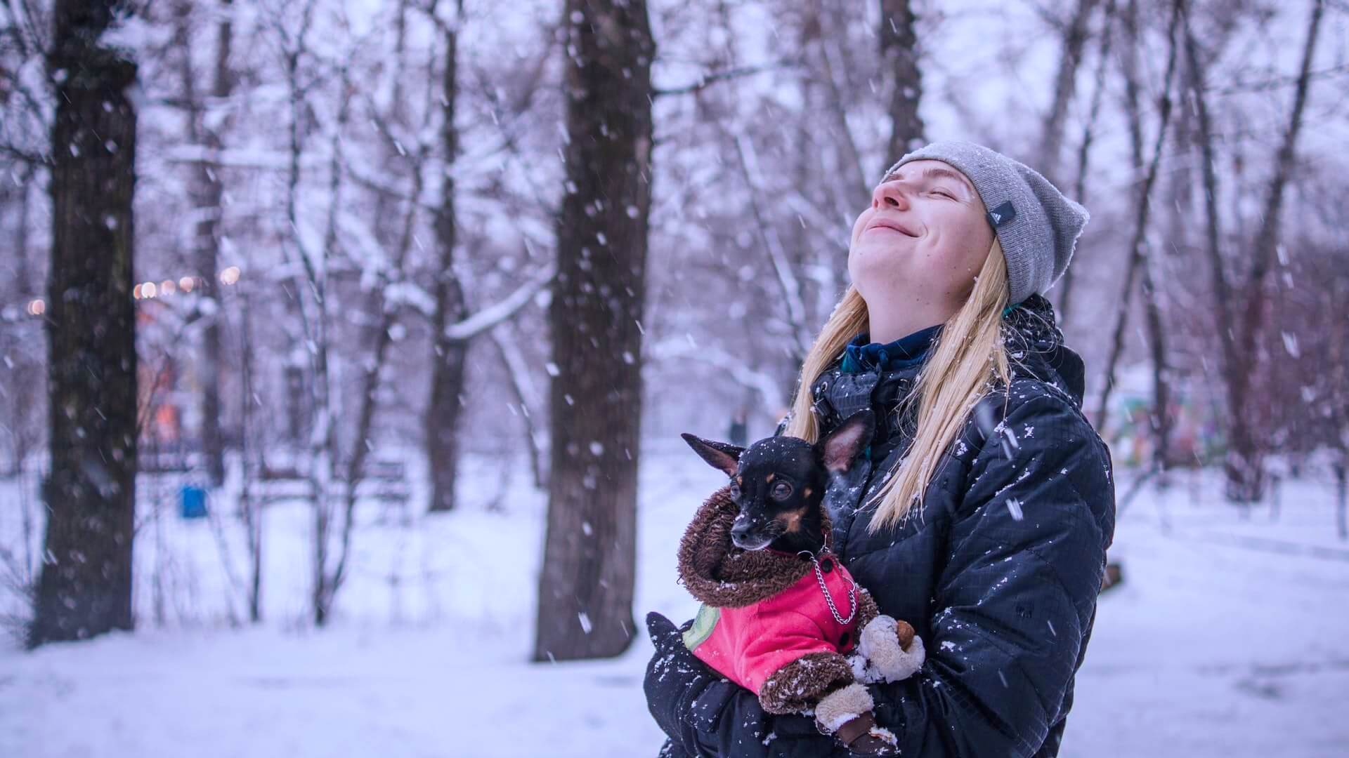Pet owner holding a dog in the snow