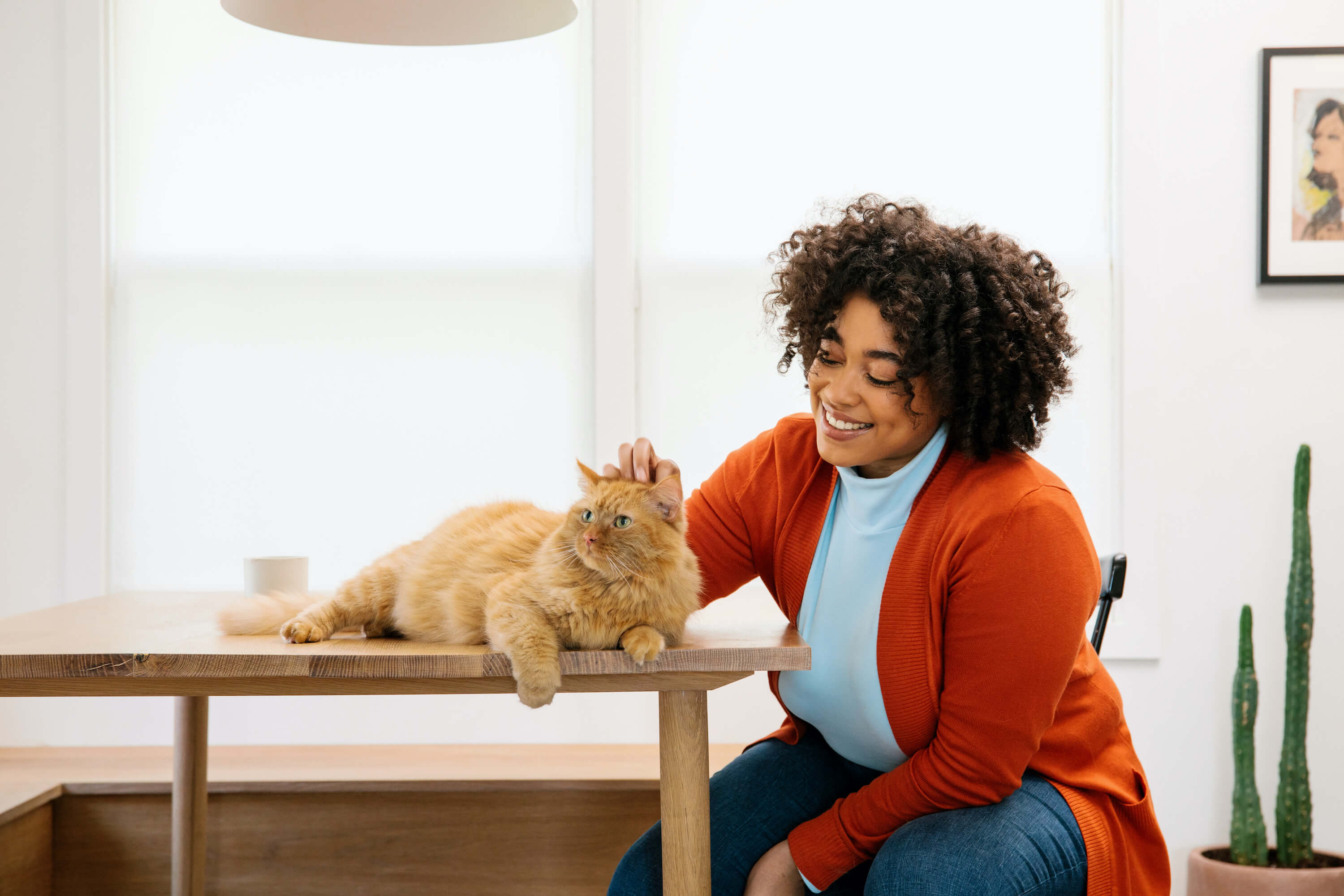 Woman sitting at a table and petting her orange cat