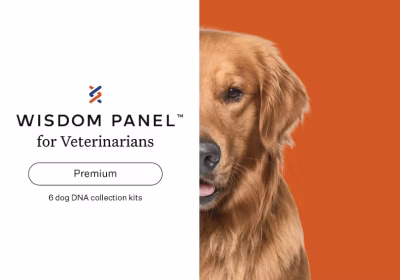 Wisdom Panel for Veterinarians