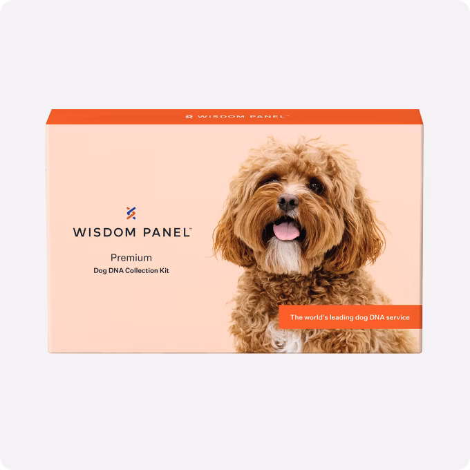 Premium product box