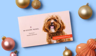 Wisdom Panel Premium dog DNA test collection kit
