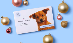 Wisdom Panel Breed Discovery Dog DNA Test
