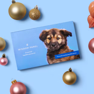 Wisdom Panel Essential dog DNA test collection kit