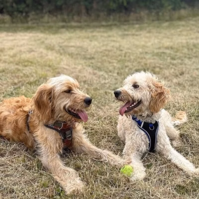 River and Chutney Reunion