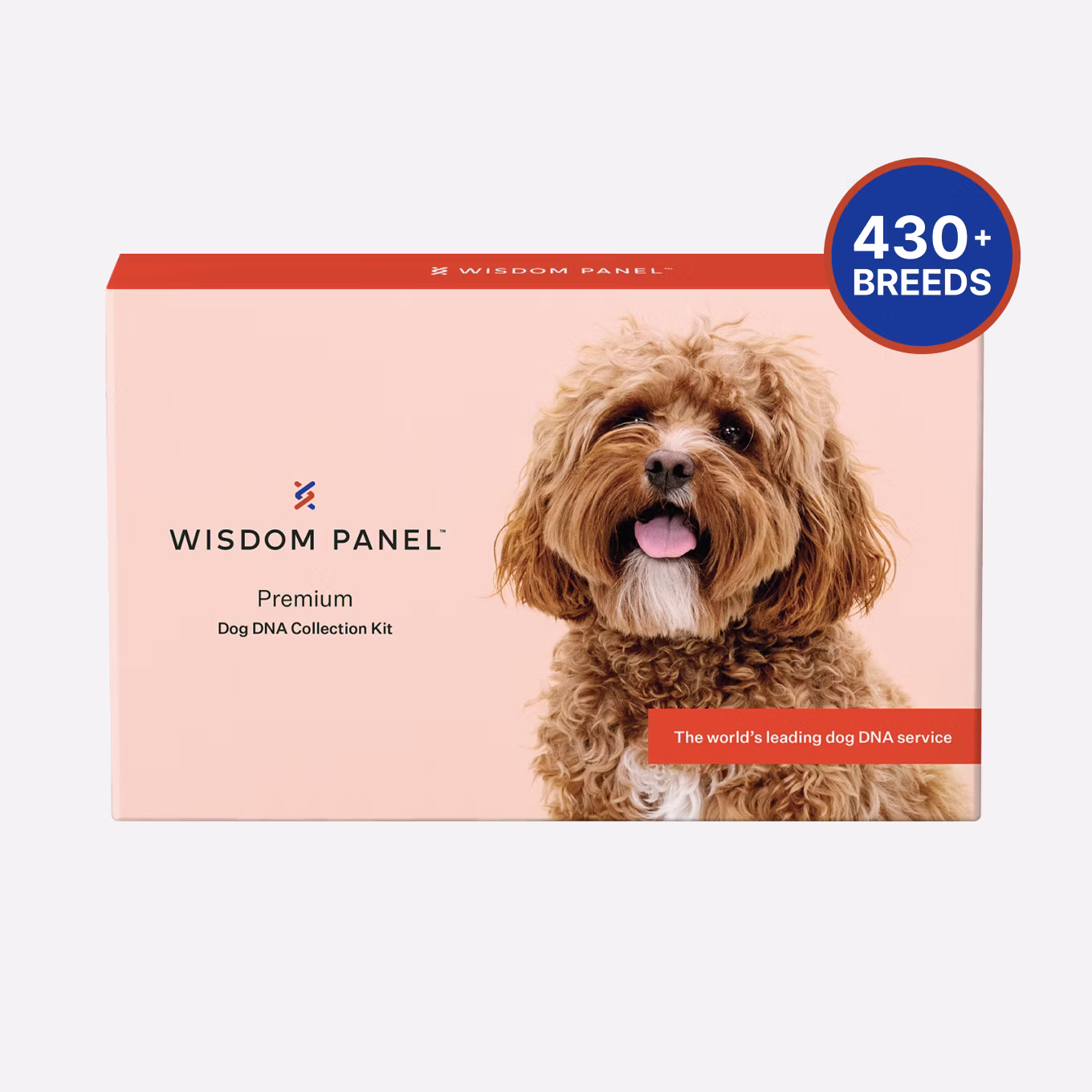 Premium dog DNA test product box