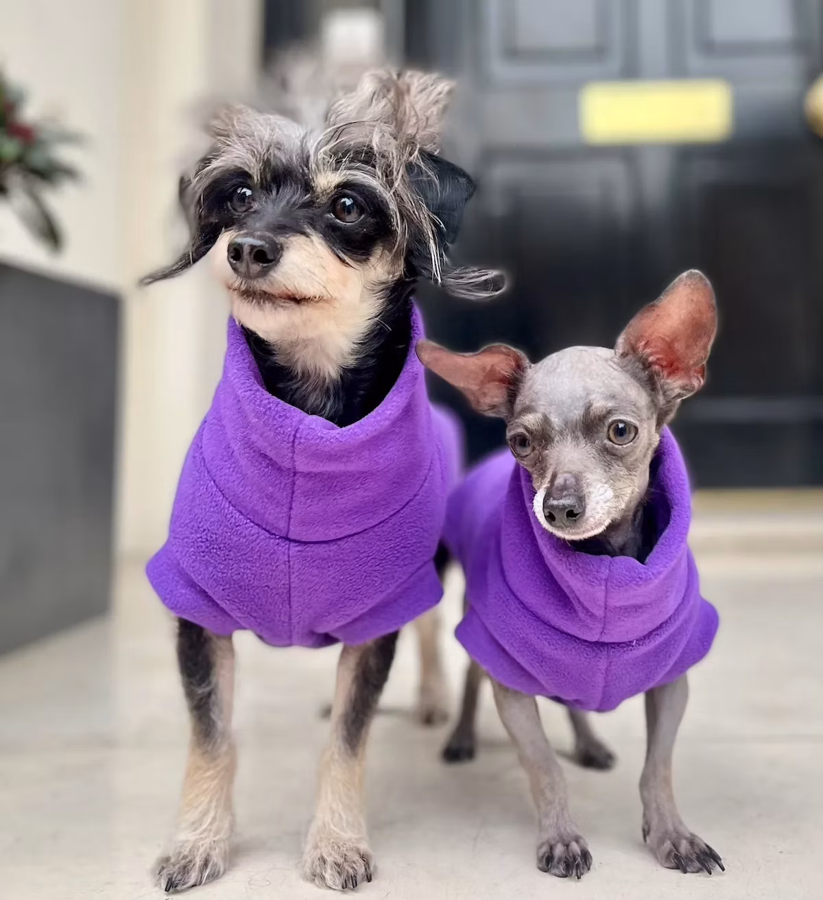Betty and Bean